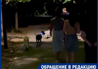 Скандал в Ботаническом саду: компания с собаками напала на краснодарца после замечания