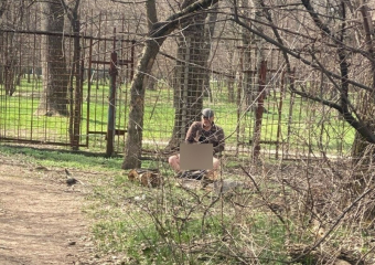 Извращенец со спущенными штанами напугал детей в парке Краснодара