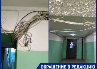 Краснодарцев бросили один на один с огромным хаосом из проводов