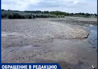 «Бедные рыбы, cтрадает экология»: жители Краснодарского края бьют тревогу из-за спуска водоёма 