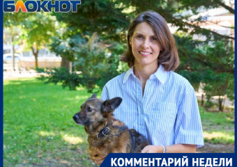 Кровопийцы вышли на охоту: действенные средства защиты питомца от клещей назвала ветеринар из Краснодара