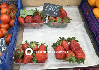 В Краснодаре начали торговать клубникой 