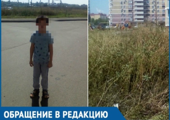  Из-за огромного поля амброзии возле дома ребенок едва не задохнулся в Краснодаре 