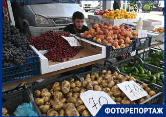 «Золотая» черешня и дешевые кабачки: что можно встретить на сельхозярмарке в Краснодаре
