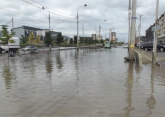  Музыкальный микрорайон в Краснодаре хотят курировать три человека 