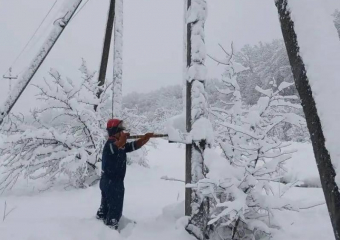 Выживание в мороз: как Кубань ликвидирует последствия непогоды