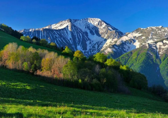 Туристы хотели переждать коронавирус в горах Сочи