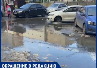 Туалетная бумага и вонь: в Краснодаре канализация залила дорогу возле детсадов и школы
