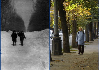 День первых признаков зимы: какой она была в Краснодаре