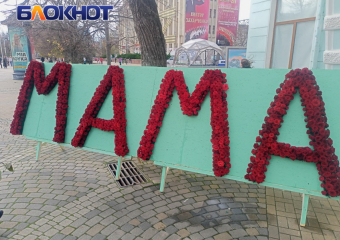 Мастер-класс и праздничные концерты: как краснодарцы отпразднуют День матери 