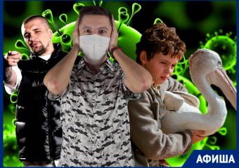 Баста, Звягинцев и биг-бенд Гараняна: куда сходить в Краснодаре