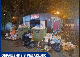 Ужасный запах и крысы: краснодарцы массово жалуются на несвоевременный вывоз мусора