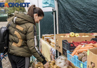 Рост цен на овощи в Краснодарском крае замедлился 