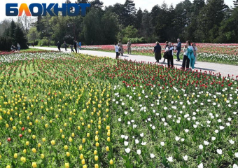 Ботанический сад в Краснодаре временно закроют для посетителей