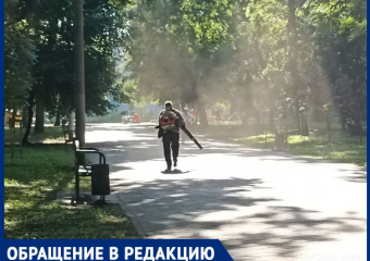«Аллергики и астматики обходят рощу»: в Краснодаре потребовали запретить уборку парков ветродуями