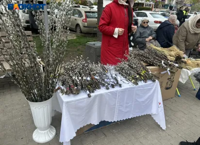 Веточки ивы, корзины и нарциссы: как в Краснодаре отмечают Вербное воскресенье