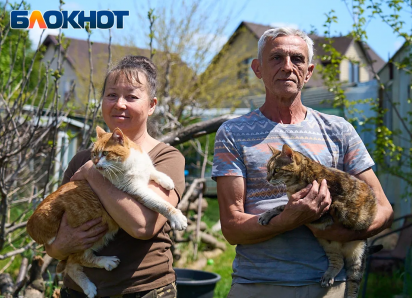 «Продали квартиру и машину ради 150 кошек»: приют в станице Краснодара оказался в долговой яме