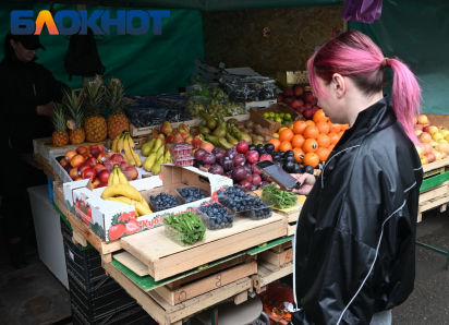 «Королем» по количеству ярмарок объявили Краснодарский край