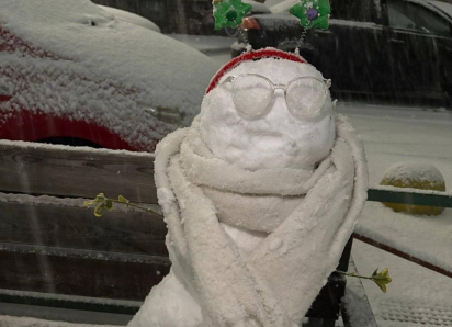 Краснодарский край после первого крупного снегопада заполонили причудливые снеговики