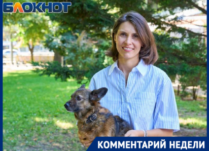 Кровопийцы вышли на охоту: действенные средства защиты питомца от клещей назвала ветеринар из Краснодара