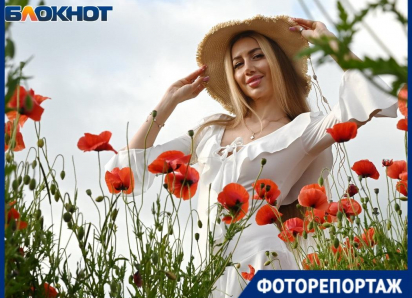 Огромное маковое поле расцвело в Краснодаре