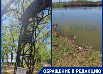«Спасите озеро»: туристы бьют тревогу из-за мора рыбы у монастыря на Кубани