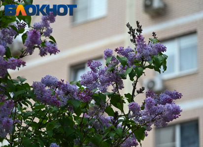 Погода сойдет с ума на майские праздники: что ждет краснодарцев?