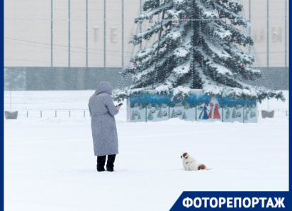 Засыпанные улицы, транспортный коллапс и недовольные южане: Краснодар «утонул» в снегу