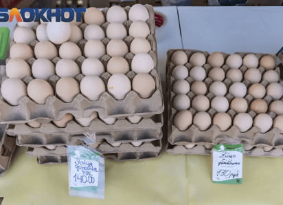 В Краснодарском крае зафиксировано снижение цен на овощи при росте стоимости яиц