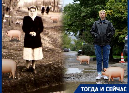 Свинячий хутор: от скотобойни на окраине Краснодара до центра миллионника