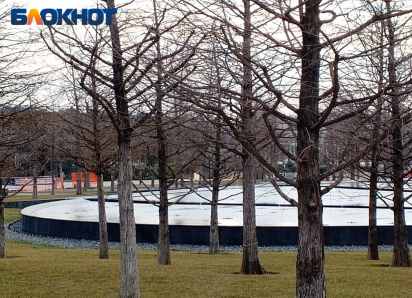 В парке Галицкого готовят к открытию новый водоём «Лесное озеро»