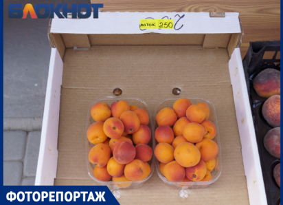 Под Краснодаром показали цены на фрукты, ягоды и овощи
