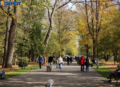 Нельзя шуметь, снимать БПЛА и заходить с собаками в магазин: какими запретами запомнился год на Кубани