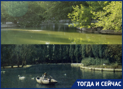 Водоем времени: что хранит прошлое Краснодара в Городском саду