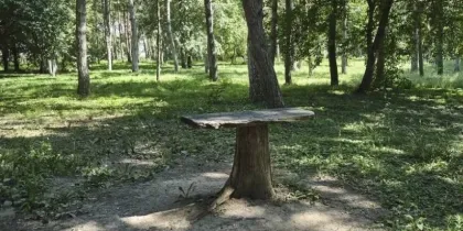 В Краснодарском крае активизировались клещи