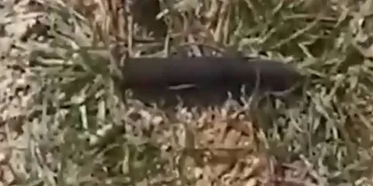 У сгоревшей турбазы «Водолей» нашли пулемёт и патроны