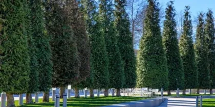 Краснодарский фотограф заснял весеннее преображение парка Галицкого