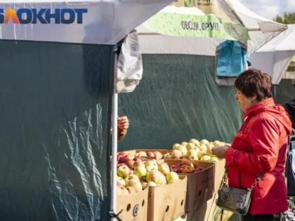 Латекс кончалары