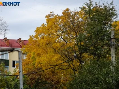 Краснодар столкнётся с массовыми отключениями электричества в начале недели