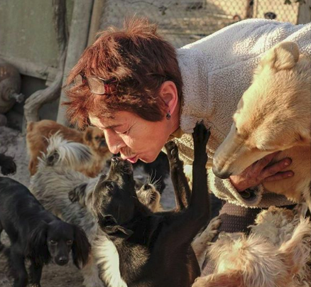 Сотни собак погибли при пожаре в приюте для беспризорных животных
