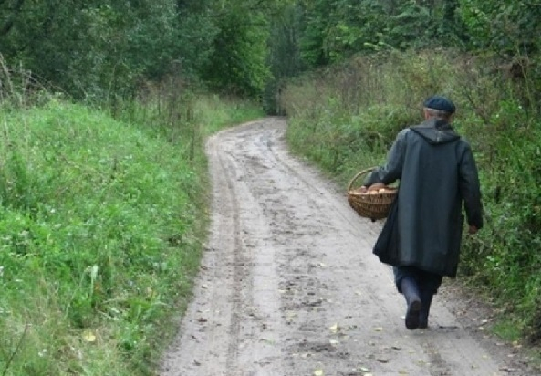 В Крымске грибник принес правоохранителям 14 кг тротила из леса