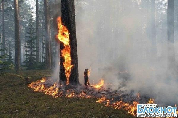В юго-западной части Краснодарского края объявлена пожароопасность