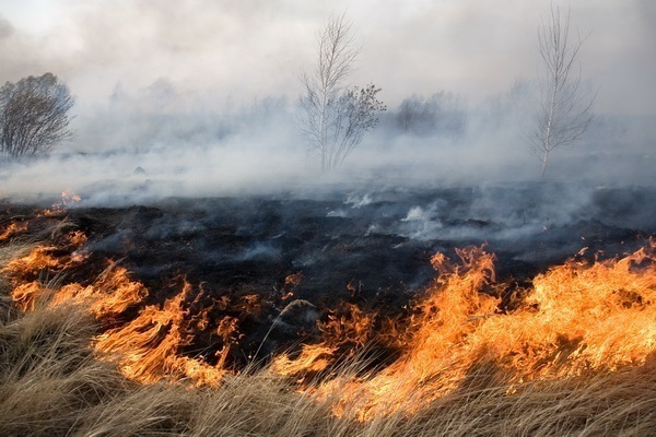 На Кубани МЧС объявило высший класс пожароопасности