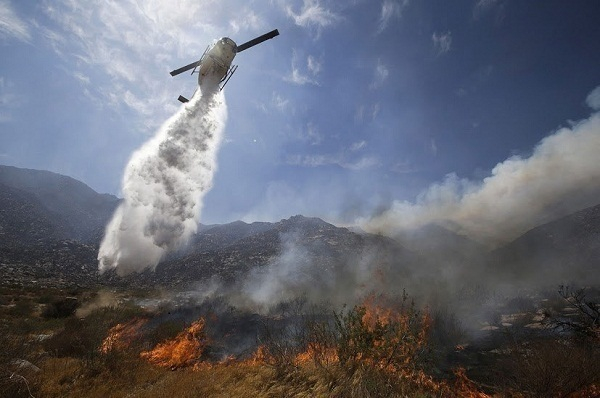 На Кубани прогнозируют масштабные лесные пожары