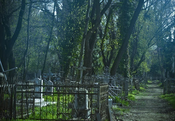 Работники ритуальных услуг устроили драку на Славянском кладбище Краснодара
