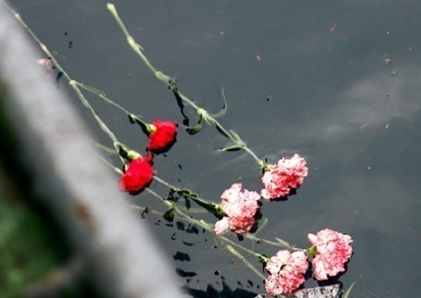 Цветы в память жертв Ту-154 в Сочи больше нельзя приносить