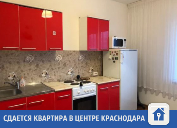 Недорогая квартира сдается в центре Краснодара