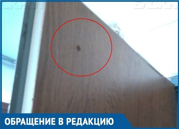Вместе с ветераном ВОВ по соседству живут тараканы и ужасный запах в Краснодаре
