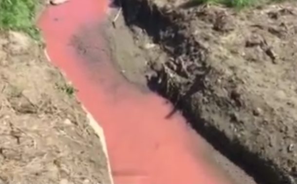 «Оранжевая вода»: Красители изменили цвет реки в Сочи