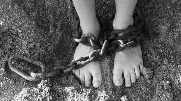 «Сексуальное рабство в самом центре Сочи» требует проверки